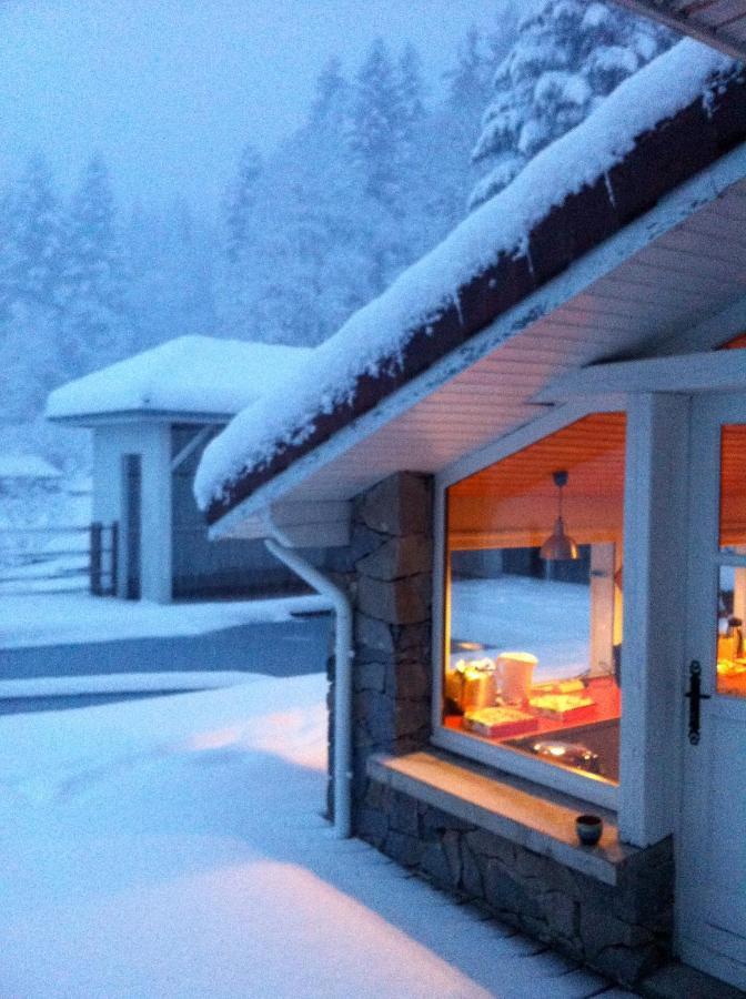 Le Chalet Blanc - Jacuzzi / Piscine / Sauna Gérardmer Εξωτερικό φωτογραφία